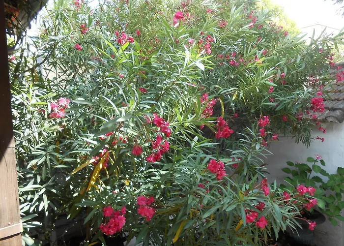 La Bigotiere Avec Clim Et Jardin